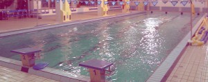 IMAG0443_wyr