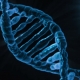 magia-dna