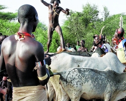 SMALL_etiopia 2422